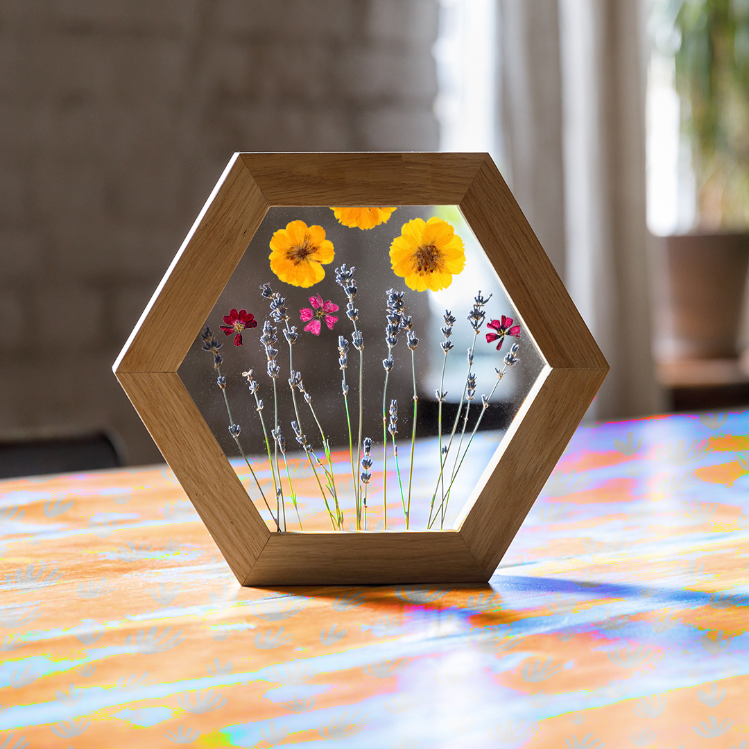 image shows a hexagonal double paned frame with pressed flowers.