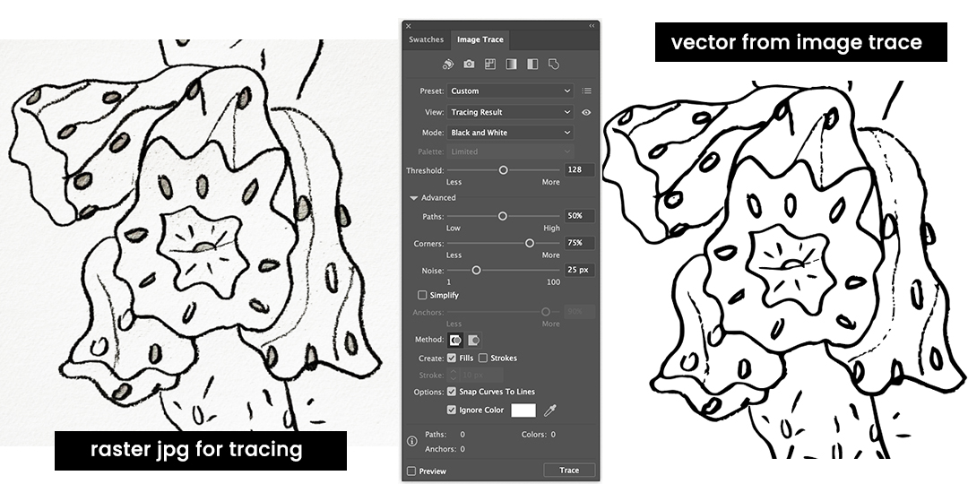 image shows raster jpg going from sketch to vector using image trace in illustrator 