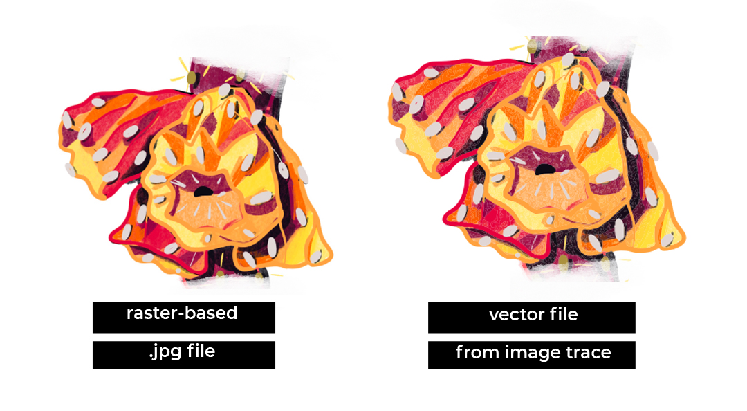 image shows two cholla illustrations side by side. One is captioned "vector-based .jpg file" and the other is captioned "vector file from image trace" 