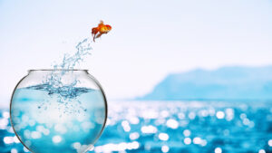 image shows a goldfish bowl by the ocean with a goldfish leaping out of the bowl to demonstrate the visual idea of "leap year"
