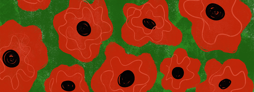 image of red and black poppies
