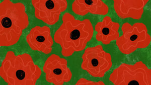 image shows red and black poppies.