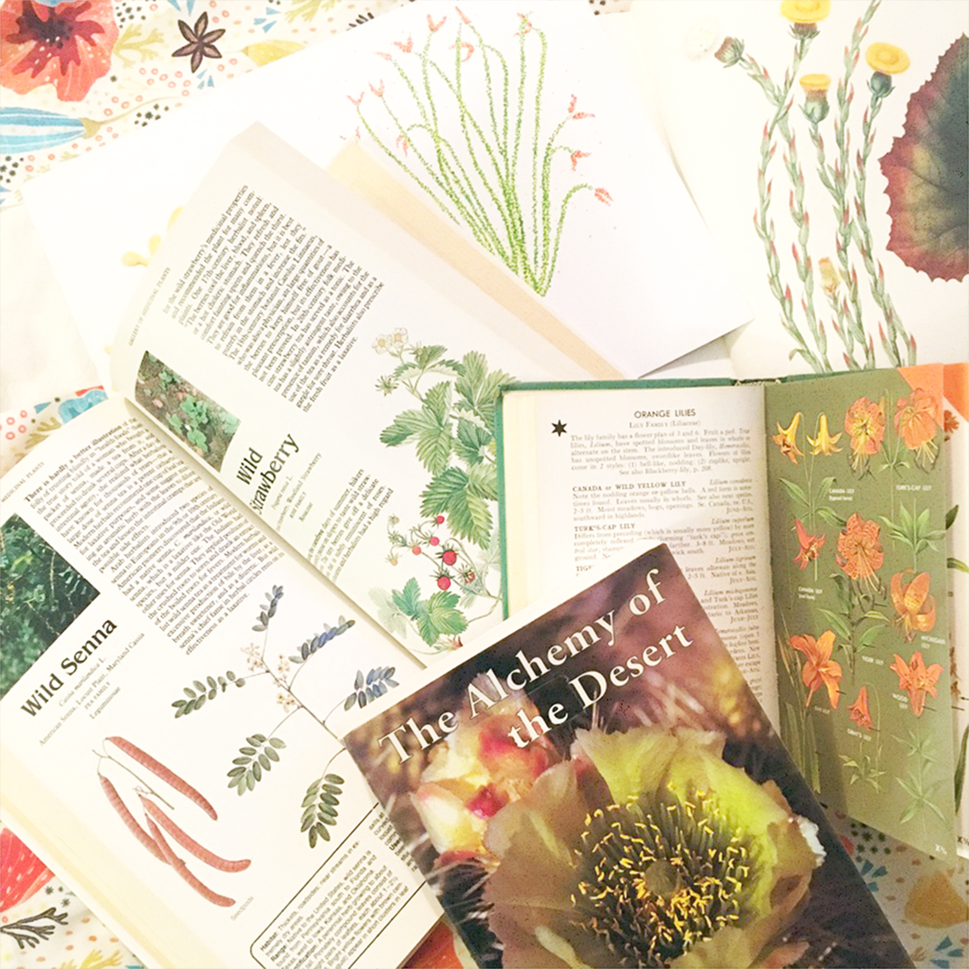 image shows open plant medicine books with illustrations of vintage botanical art.