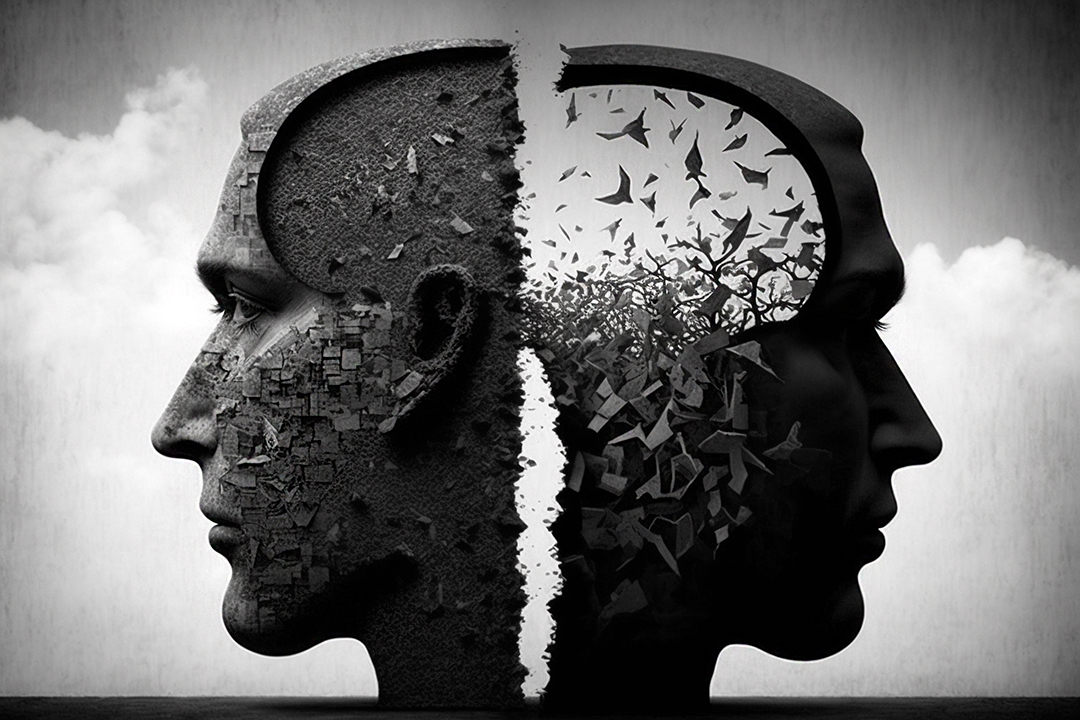 Image shows two faces looking in opposite directions, with the back of their heads open to each other. Both brain spaces are different - one has flying birds, the other has destruction. to show cognitive dissonance.