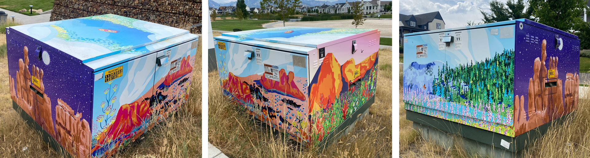image shows Alesha Sevy public art utility box wrap.