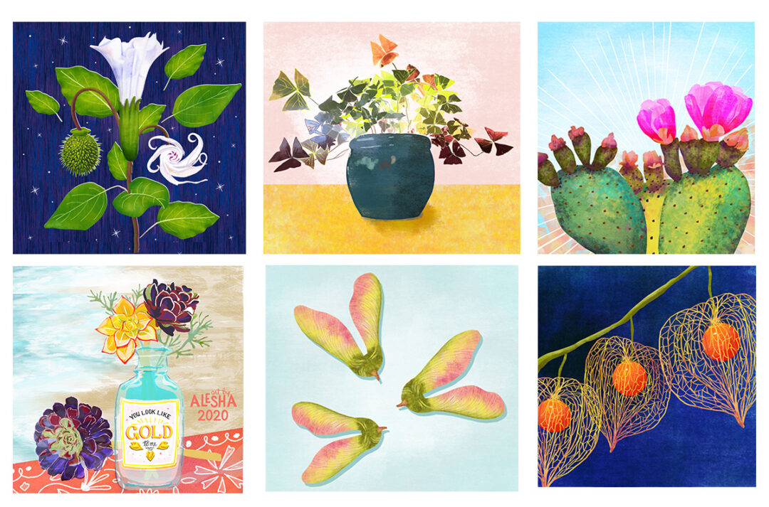 Editorial illustrations, flower illustrations, botanical illustrations by Alesha Sevy.
